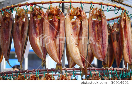 打開曲棍球 打開曲棍球 56914901