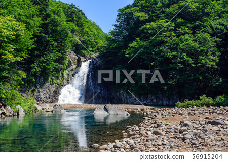Houtai no Taki Summer (Akita Prefecture) 56915204