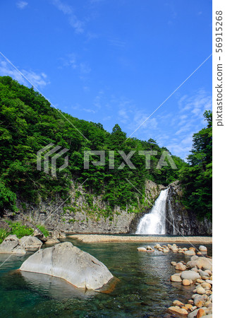Houtai no Taki Summer (Akita Prefecture) 56915268