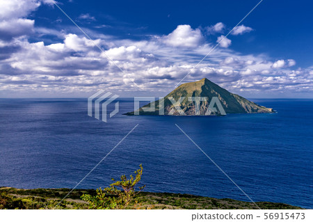 Spring scenery of Hachijo Kojima, Hachijo Town, Tokyo 56915473