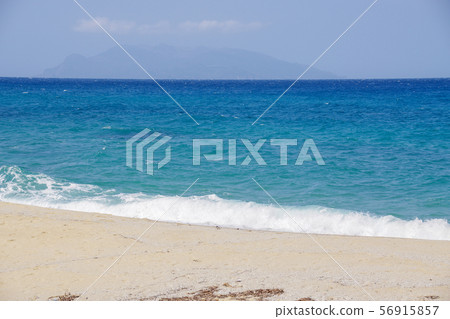 Yakushima Blue Sea and Nagata Nakahama Beach 56915857