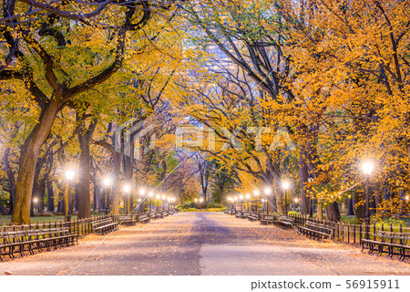 Central Park New York City Autumn Central Park New York City Autumn 56915911