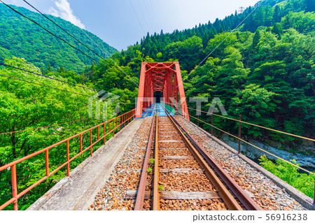 Rail mountain bike gattango (gorge course) Rail mountain bike gattango (gorge course) 56916238