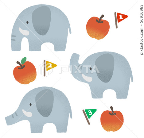 Animal elephant Animal elephant 56916965