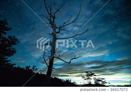 Odaigahara night 56917072
