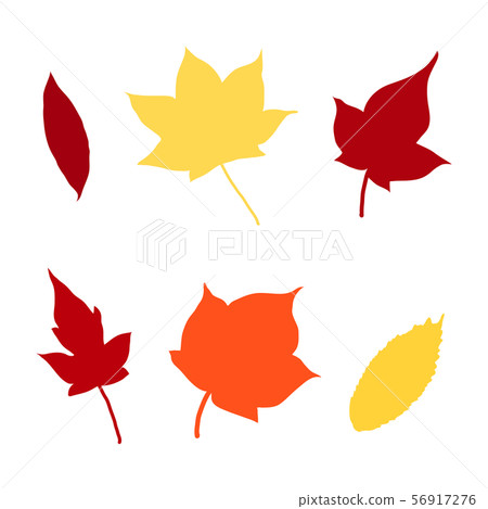 6 maples and maples 56917276