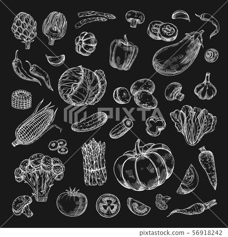 Hand drawn vegetables. Farm product in retro sketch style. Chalk drawing vegetables on blackboard 56918242