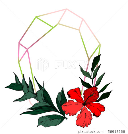 Vector Tropical flowers and leaves isolated. Black and white engraved ink art. Frame border ornament Vector Tropical flowers and leaves isolated. Black and white engraved ink art. Frame border ornament 56918266