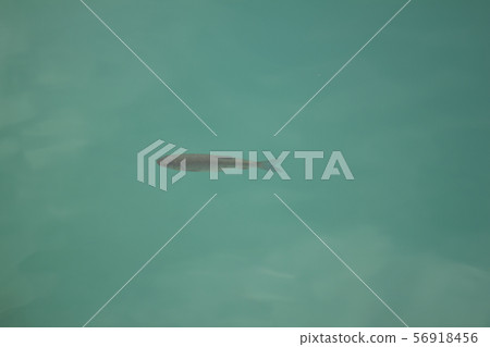 Laghi di Plitvice, paesaggio, natura 56918456