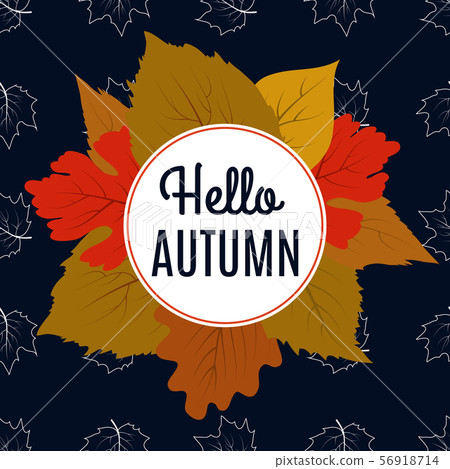 Hello autumn banner with color leaves and maple foliage 56918714