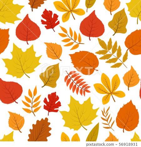 Forest golden autumn leaves seamless vector autumnal pattern Forest golden autumn leaves seamless vector autumnal pattern 56918931