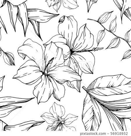 Vector Tropical flowers and leaves isolated. Black and white engraved ink art. Seamless background 56918932