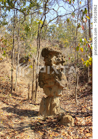 The soil columns Found in nature. The soil columns Found in nature. 56918962