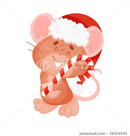 Cute brown mouse in a cane shaped striped lollipop. Vector illustration on a white background. 56919544