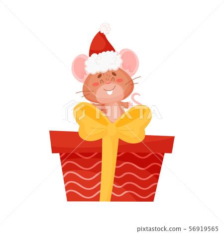 Cute brown mouse is sitting on a gift. Vector illustration on a white background. 56919565