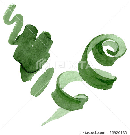 Albuca canadensis floral botanical flowers. Watercolor background set. Isolated albuca illustration 56920183