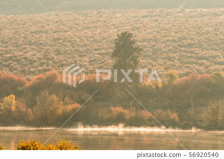 Sunrise views of the Columbia River near Entiat, Washington, USA. Sunrise views of the Columbia River near Entiat, Washington, USA. 56920540