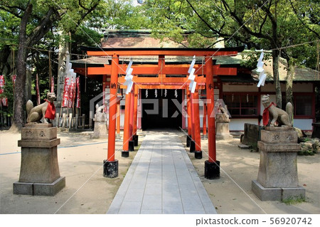 Kusumoto Inari shrine 56920742
