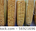 Farm corn on the cob. Fresh crop. Close-up photo 56921696