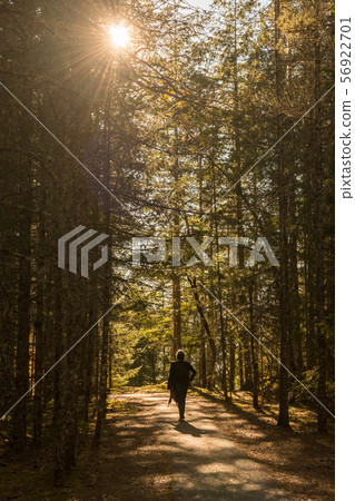 A woman walks along the George Overlook trail, at the North Cascades 56922701