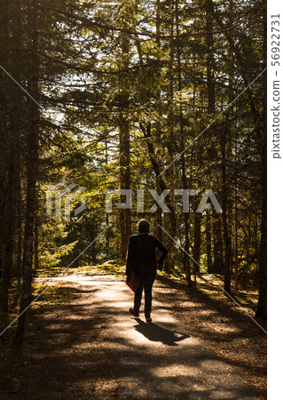 A woman walks along the George Overlook trail, at the North Cascades 56922731