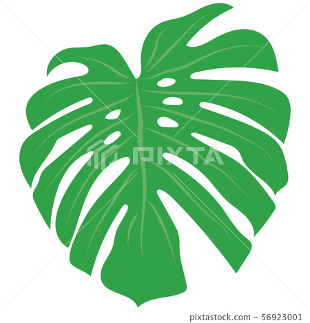 Trendy palm, great design for any purposes on Trendy palm, great design for any purposes on 56923001