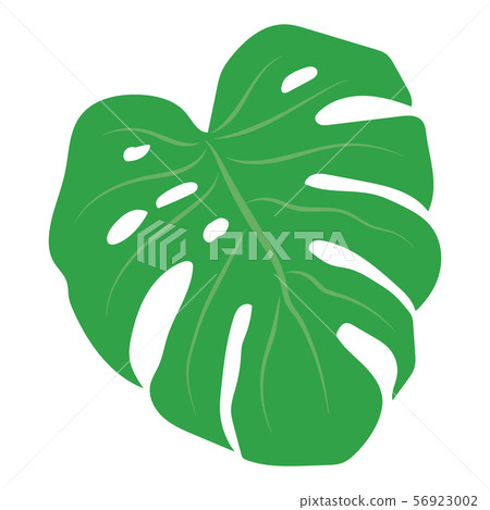 Trendy palm, great design for any purposes on Trendy palm, great design for any purposes on 56923002