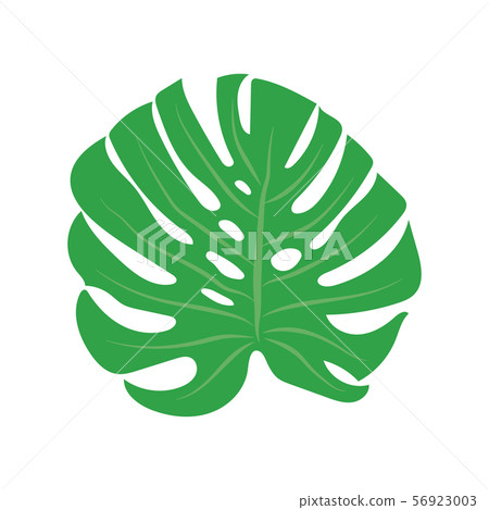 Trendy palm, great design for any purposes on Trendy palm, great design for any purposes on 56923003