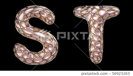 Realistic 3D letters set S, T made of gold shining metal letters. Realistic 3D letters set S, T made of gold shining metal letters. 56923263