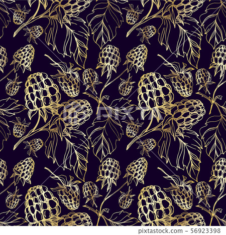 Vector Raspberry healthy food isolated. Black and white engraved ink art. Seamless background Vector Raspberry healthy food isolated. Black and white engraved ink art. Seamless background 56923398