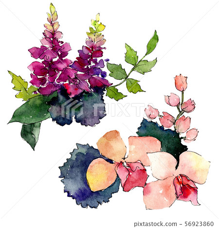 Bouquet floral botanical flowers. Watercolor background set. Isolated bouquets illustration element. Bouquet floral botanical flowers. Watercolor background set. Isolated bouquets illustration element. 56923860