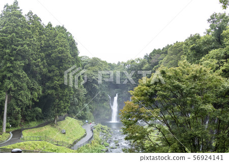 Shiraito Falls (summer) Shiraito Falls (summer) 56924141
