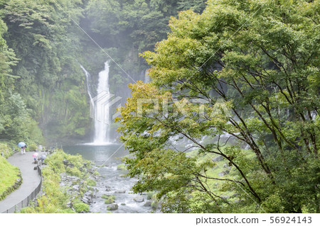 Shiraito Falls (summer) 56924143
