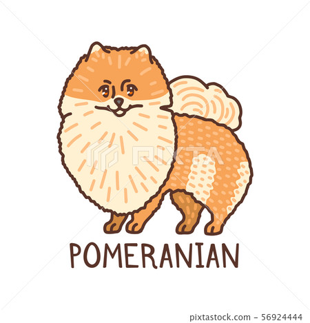 Isolated Pomeranian in Hand Drawn Doodle Style 56924444