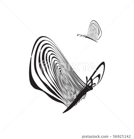 Black and White Striped Stylized Butterfly - Stock Illustration ...