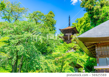 National Treasure Daiho-ji Mie Tower Aoki Village [Nagano Prefecture] 56925569
