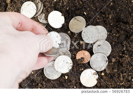 the hand of a man with coins the hand of a man with coins 56926783