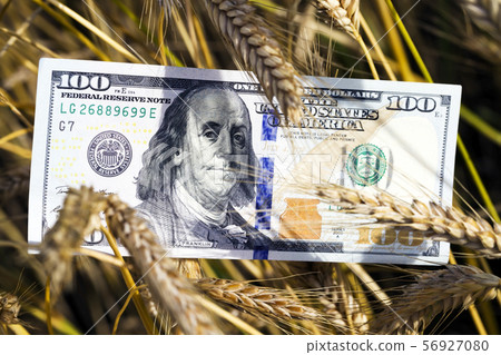 American dollars 56927080