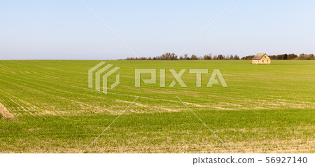 summer landscape summer landscape 56927140