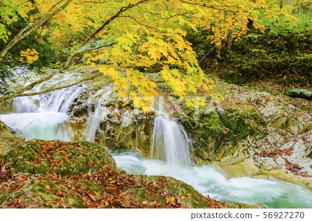 秋葉山流2 56927270