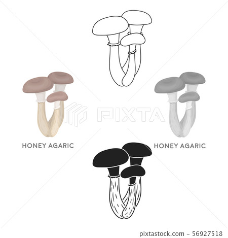 Honey agaric icon in cartoon,black style isolated on white background. Mushroom symbol stock vector Honey agaric icon in cartoon,black style isolated on white background. Mushroom symbol stock vector 56927518