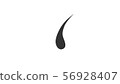 Hair root (permeation) 56928407