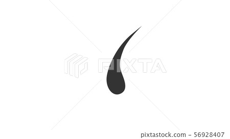 Hair root (permeation) 56928407