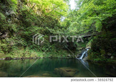 Green waterfall 56928792