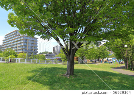 Spring Wakabadai Park, 1-chome Wakabadai, Inagi-shi, Tokyo 56929364