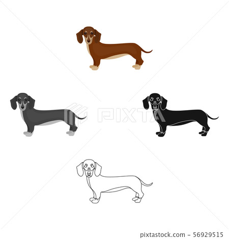 Dachshund, single icon in cartoon,black... - Stock Illustration [56929515]  - PIXTA