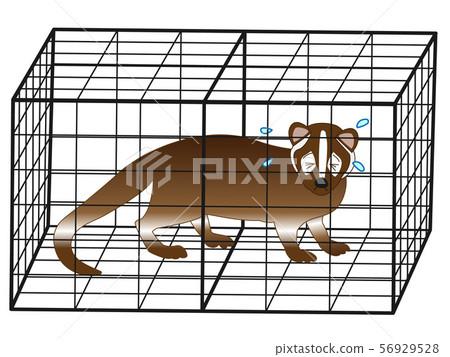 Captured Hakubishin Captured Hakubishin 56929528