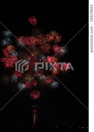 Kariya Wansaka Festival Fireworks Display 56929665