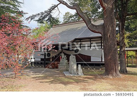 Uedajo Uedajo 56930491