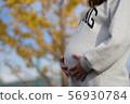 銀杏樹和孕婦（水平位置） 56930784
